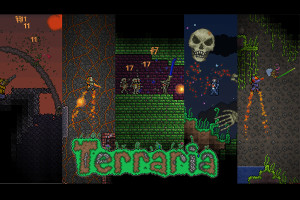 Terraria 1
